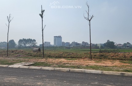 BÁN ĐẤT CỤM CÔNG NGHIỆP VIỆT YÊN, BẮC GIANG, S.9700m2